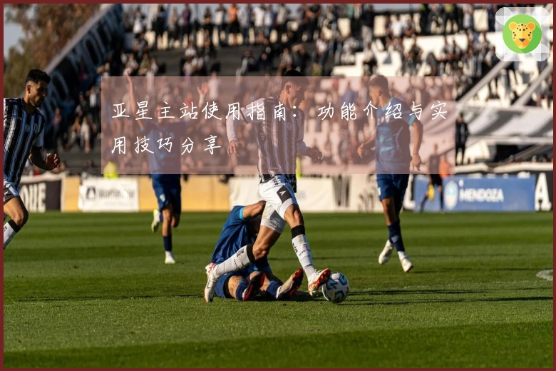 亚星主站使用指南：功能介绍与实用技巧分享